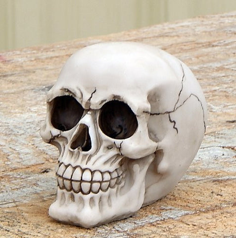 Realistic Replica Human Skull Statue Sculpture Figure Skeleton LIMITED