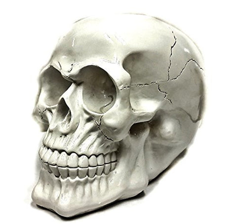 Bellaa Decorative Laughing White Skull Small Fantasy Statue Sculptures